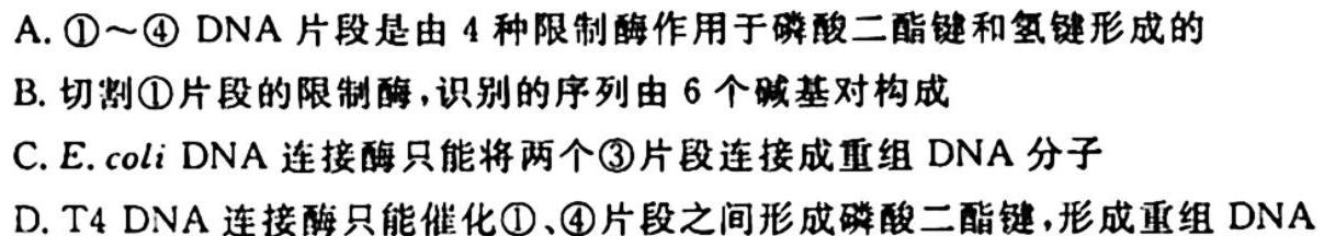 吉林省"通化优质高中联盟”2023~2024学年度高二上学期期中考试(24-103B)生物