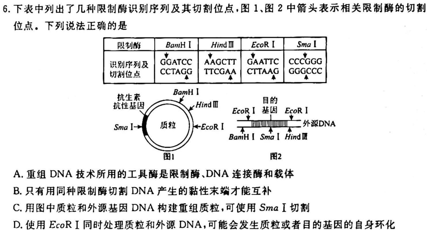 智慧上进 江西省西路片七校2024届高三第一次联考生物学试题答案