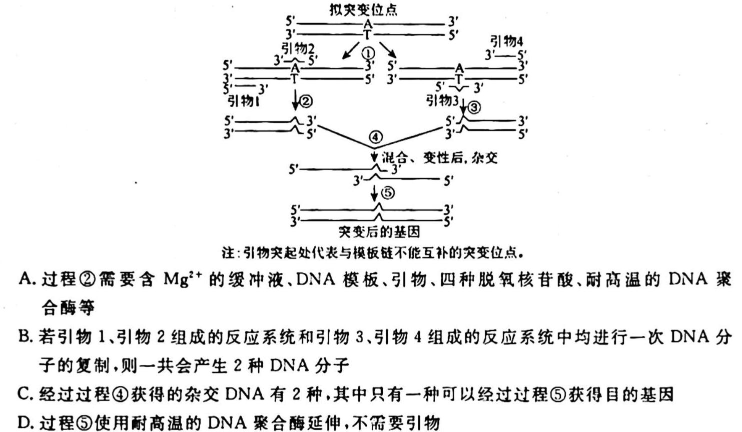 湘豫名校联考 2023-2024学年高二(上)10月阶段性考试生物