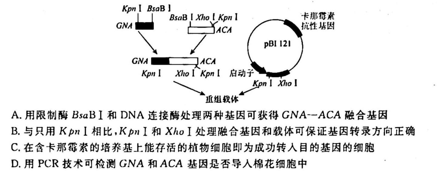 辽宁省名校联盟2023年高三10月份联合考试生物