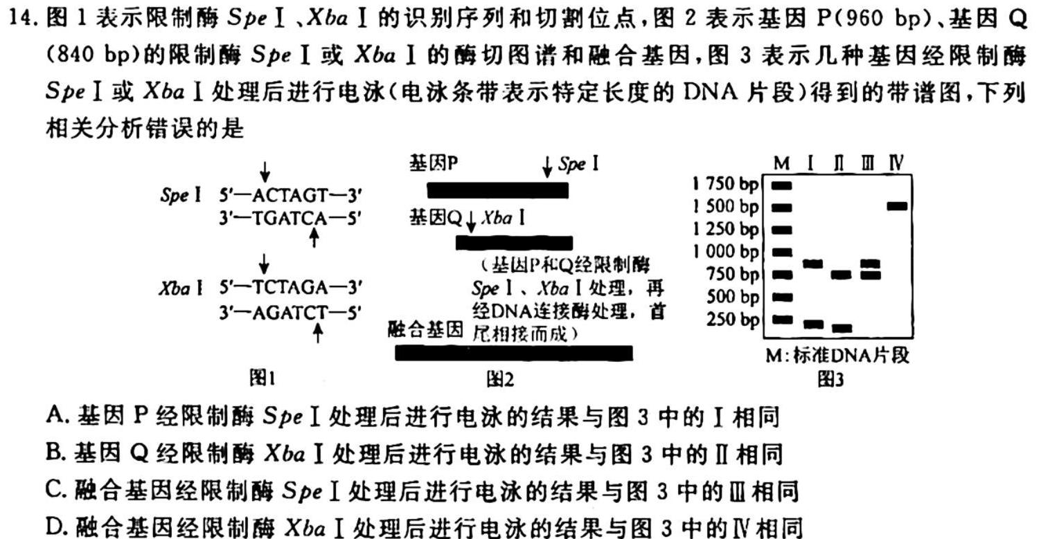 安徽省2023-2024学年高二年级名校阶段检测联考（24004B）生物