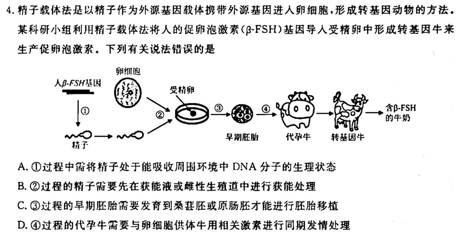 炎德英才大联考 雅礼中学2024届高三月考试卷(二)生物学试题答案