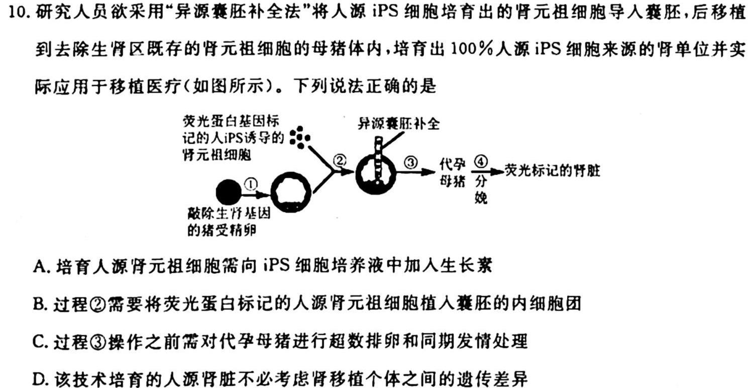 重庆市康德2024年普通高等学校招生全国统一考试11月调研测试卷生物