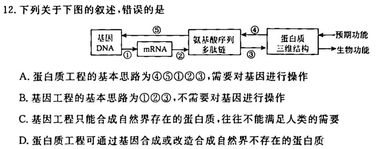 陕西省2023-2024学年度第一学期九年级阶段性学习效果评估（三）生物