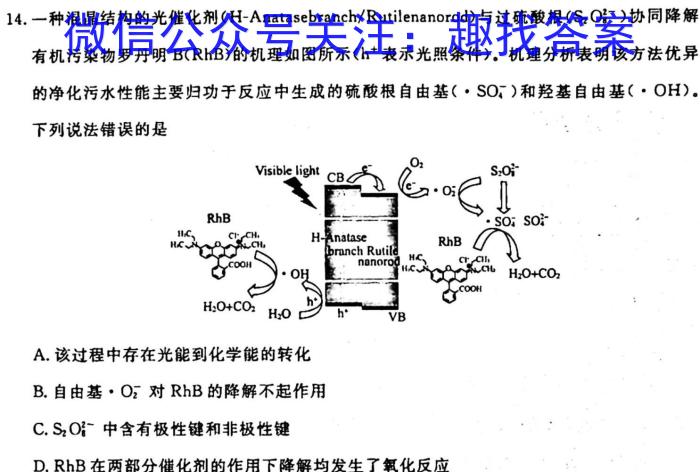 f安徽省2023-2024学年度七年级上学期阶段评估（一）【1LR】化学