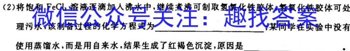 q2024届全国名校高三单元检测示范卷(十二)化学