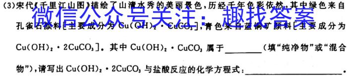 q安徽省2024届九年级G5联动教研第一次阶段性调研化学