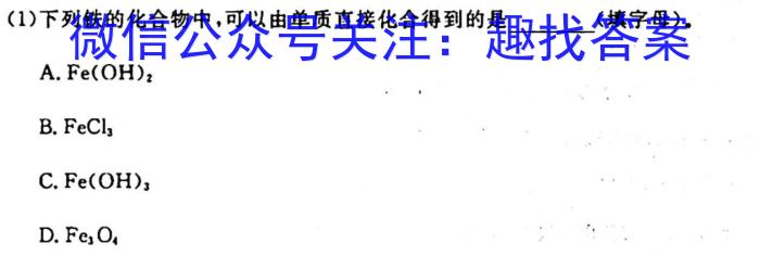 q安徽省2023-2024学年度九年级阶段诊断(PGZXF-AH)(二)化学