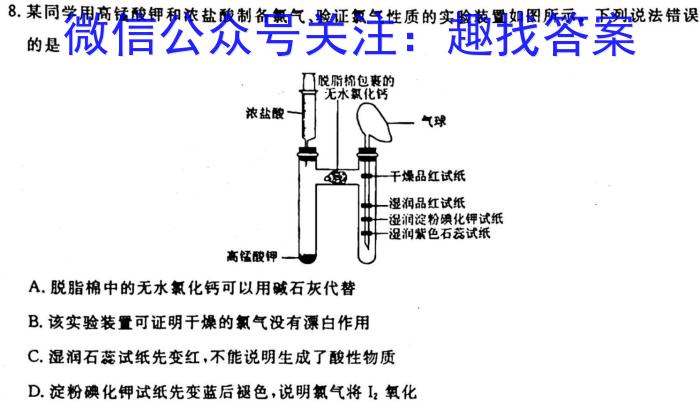 q江西省2024届九年级第一次阶段适应性评估 R-PGZX A-JX化学