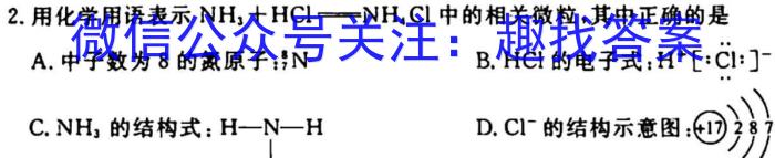 q陕西省2023-2024学年度第一学期九年级阶段调研检测（QN）化学