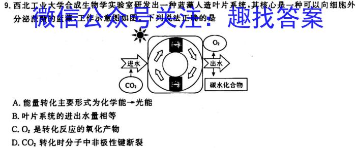 qNT2023-2024学年第一学期11月高二阶段测试卷化学