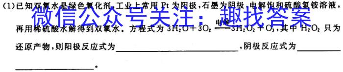 f贵阳一中(贵州卷)2024届高考适应性月考卷(白黑黑白黑黑黑)化学