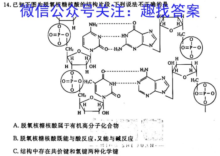 q宁波市2023学年第一学期高考模拟考试（11月）化学