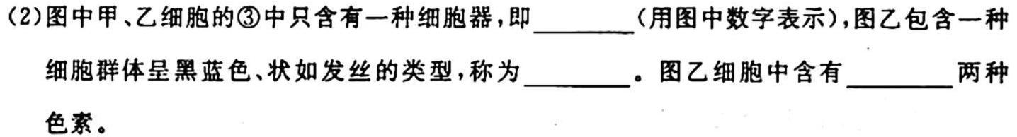 安徽省2023-2024学年第一学期七年级期中学情调研生物学试题答案