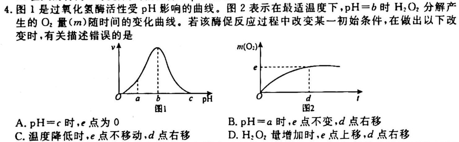 安徽省蚌埠市2023-2024上学期九年级第二次调研生物学试题答案