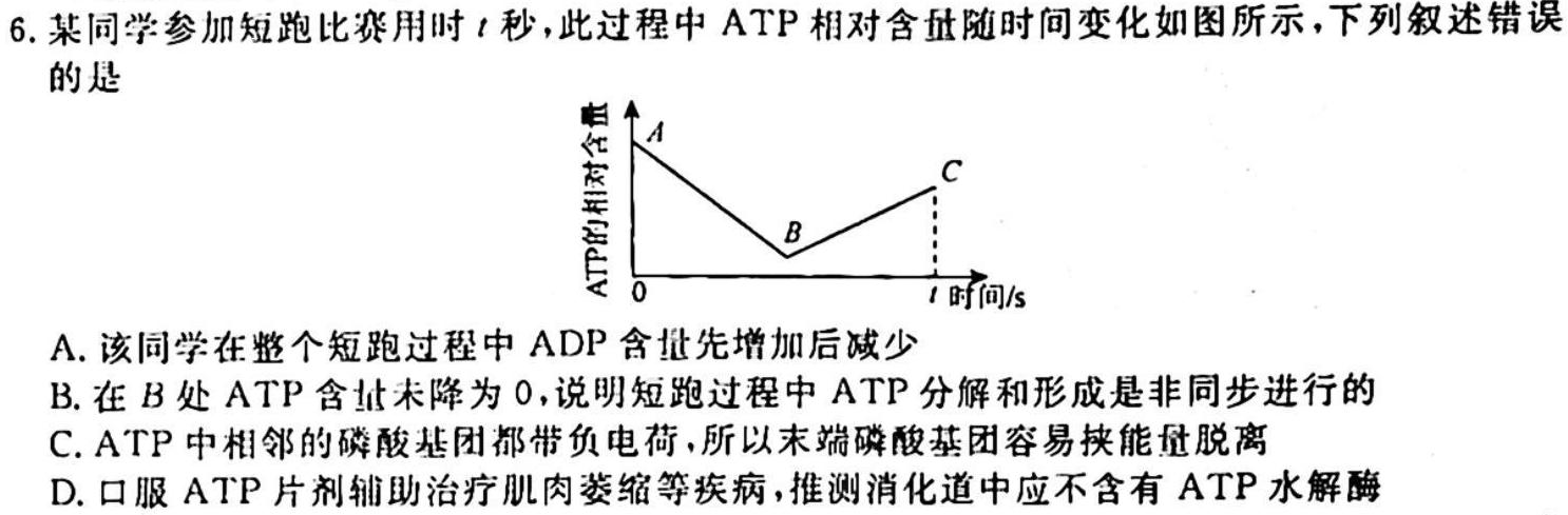 安徽省2023-2024学年度九年级上学期期中调研考试生物