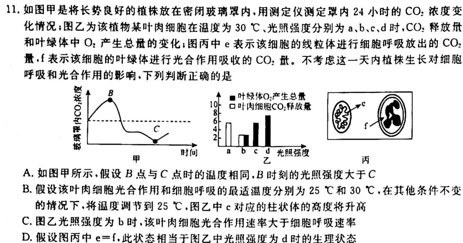 2024年衡水金卷先享题高三一轮复习夯基卷(福建专版)一生物学试题答案