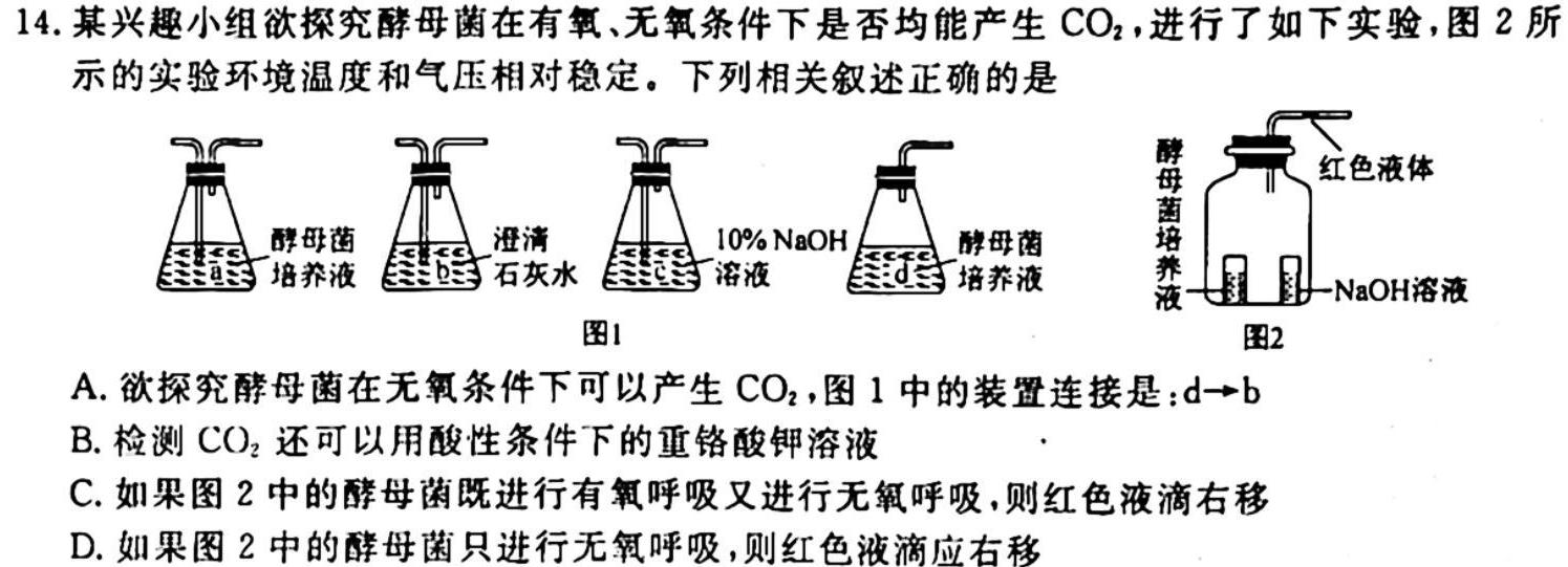 江西省赣州市2023-2024学年第一学期七年级期中质量检测生物学试题答案