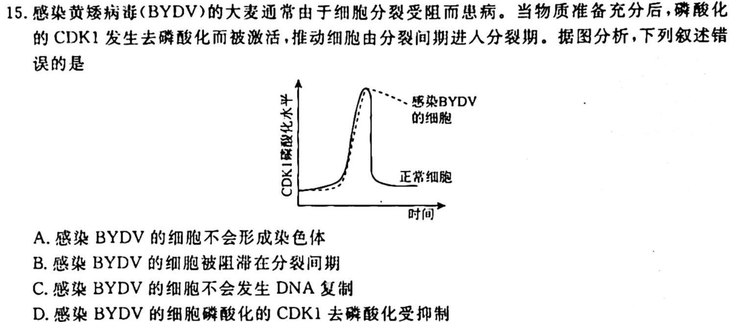 湖南省湘东2024届11月高三联考生物学试题答案