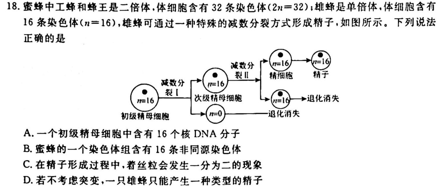 河北省高一年级选科调考第一次联考(箭头下面加横杠 HEB)生物学试题答案