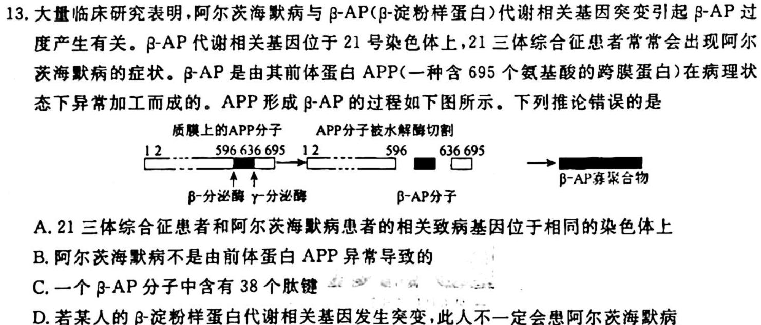 ［陕西大联考］陕西省2023-2024学年高二年级11月期中考试联考生物学试题答案