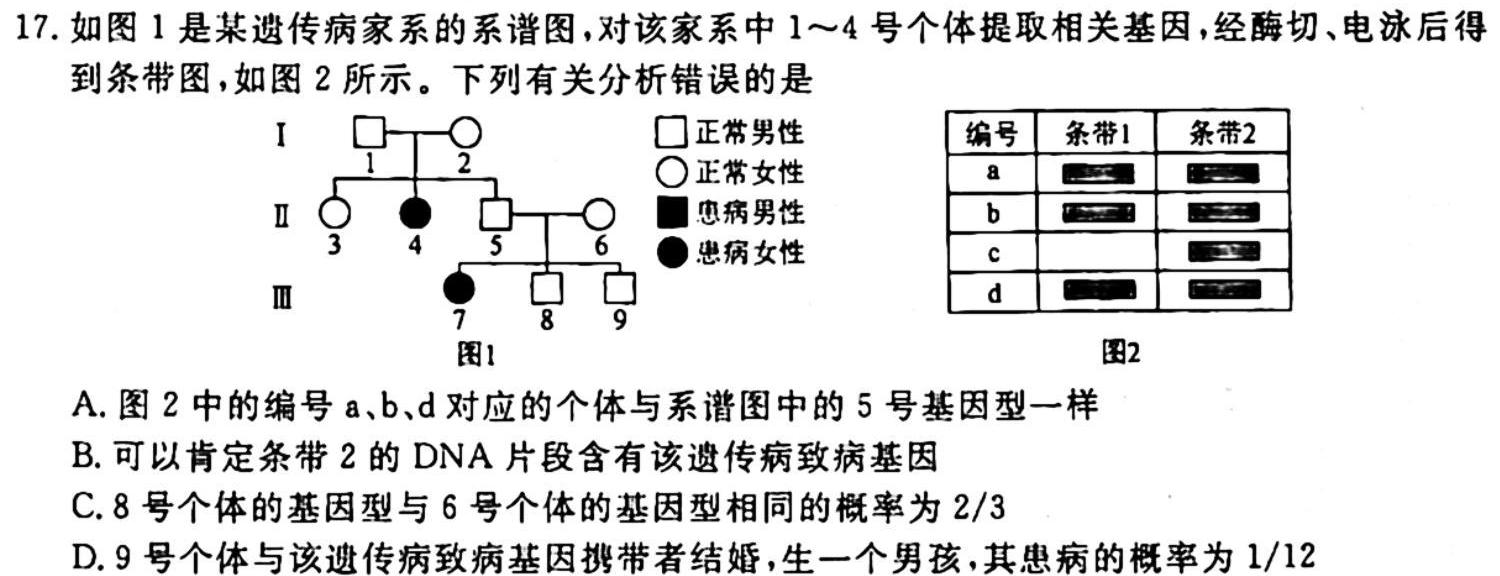 河南省2023-2024学年高中毕业班阶段性测试（二）生物