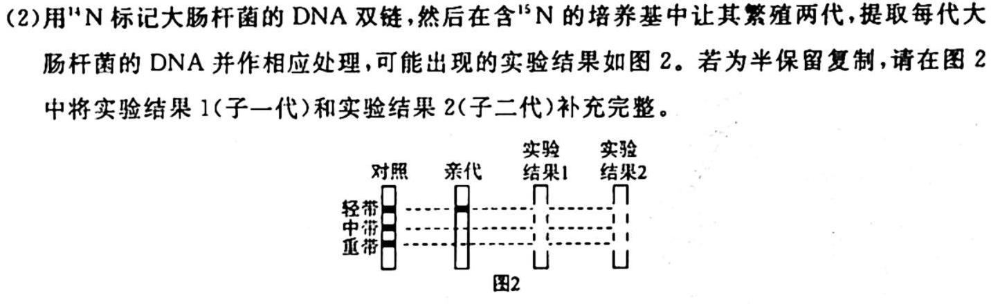 乌鲁木齐市2024届高三年级第一次质量监测生物