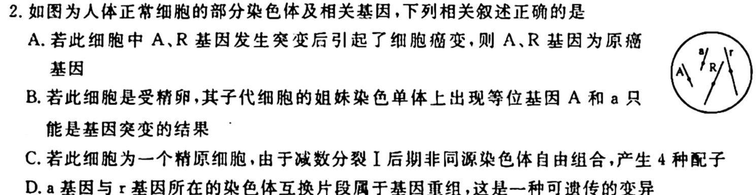 陕西省2024届九年级阶段性检测K生物学试题答案