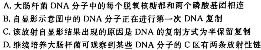 山东省2023-2024学年上学期高三年级适应性联考(一)生物学试题答案