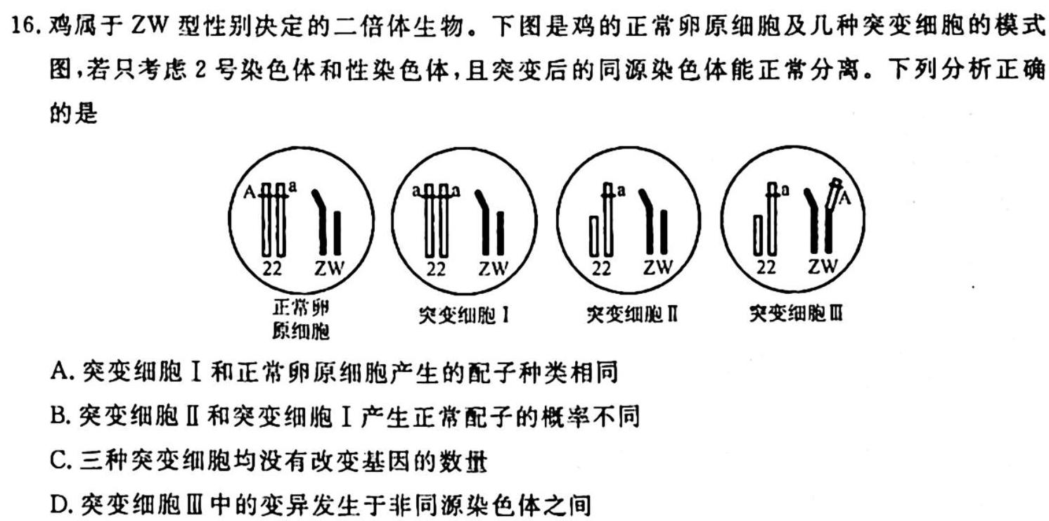 2024届名校大联盟 高三月考卷(二)生物