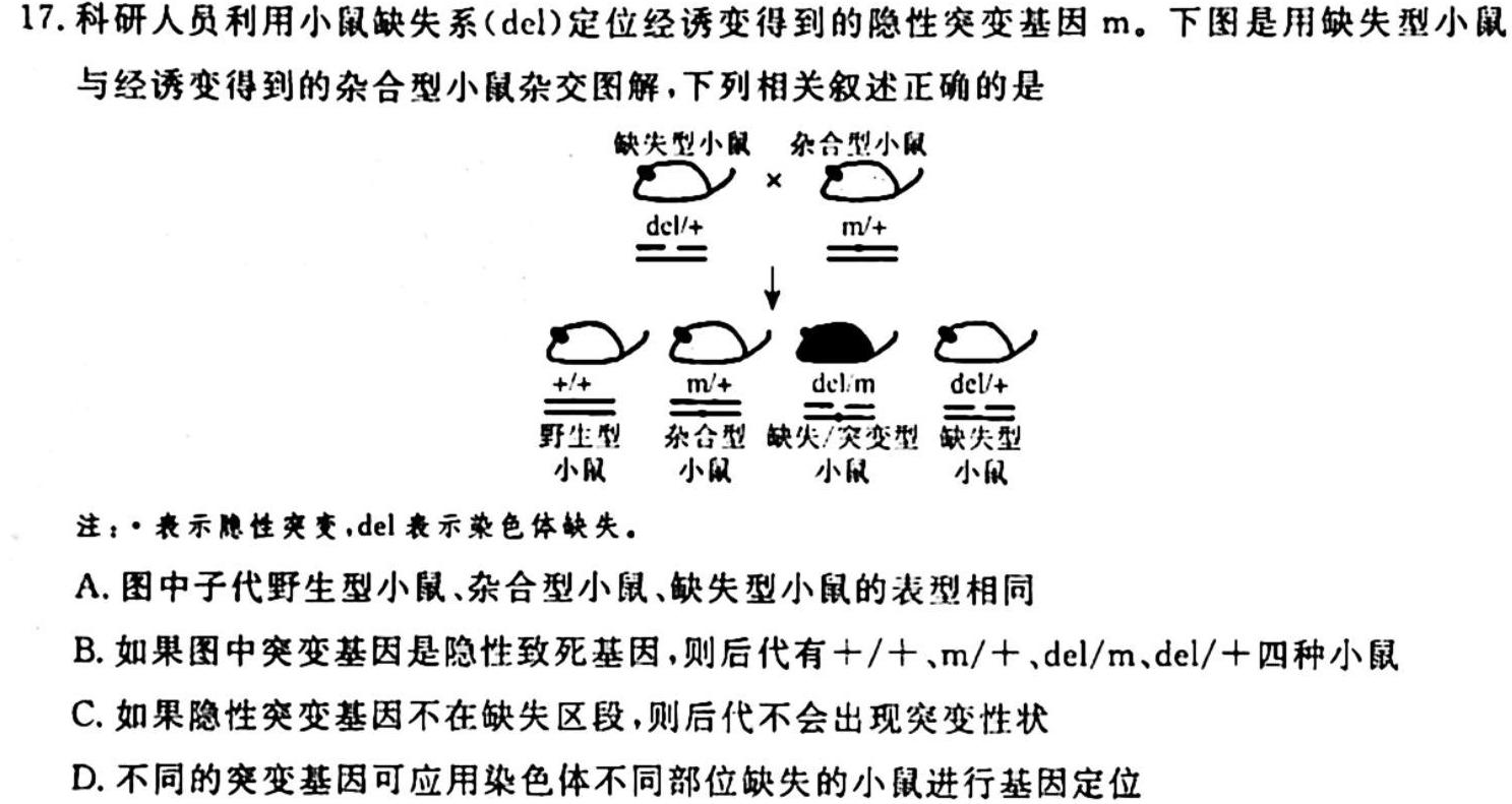 银川一中2024届高三年级第三次月考生物学试题答案