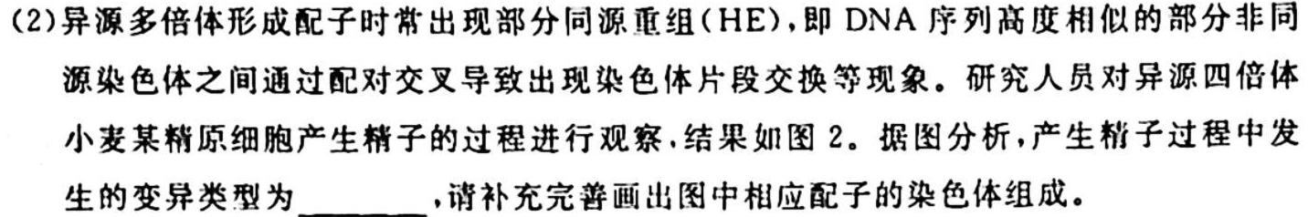 山西省高一年级2023-2024学年度第一学期10月阶段性测试生物学试题答案