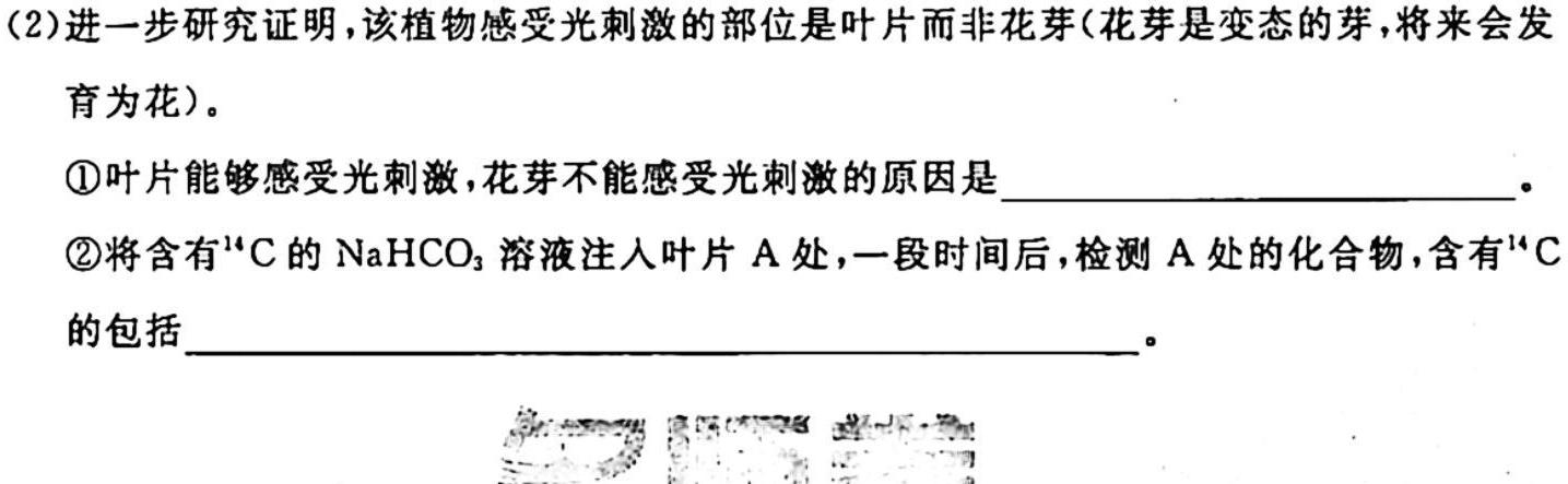 天一大联考 安徽专版2023-2024学年(上)高一阶段性测试(一)生物