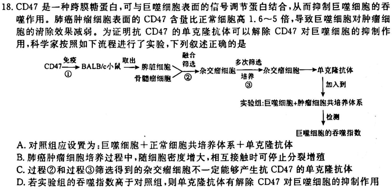 河北省2023-2024学年八年级第一学期第一次学情评估生物学试题答案