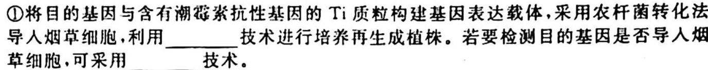 衡水金卷先享题2023-2024模拟测试卷(广西专版)生物学试题答案