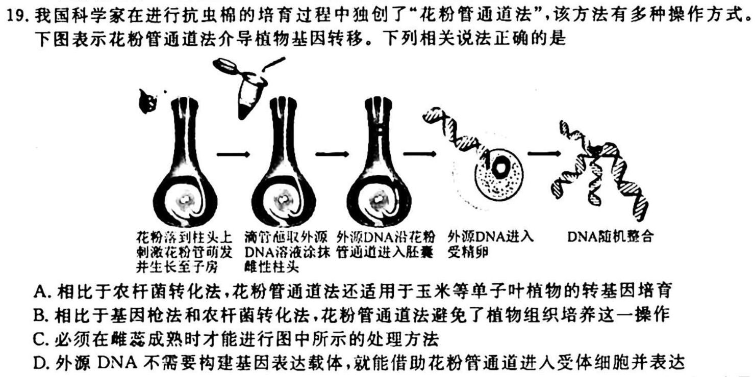 衡中同卷 2023-2024学年度高三一轮复习滚动卷(二)生物