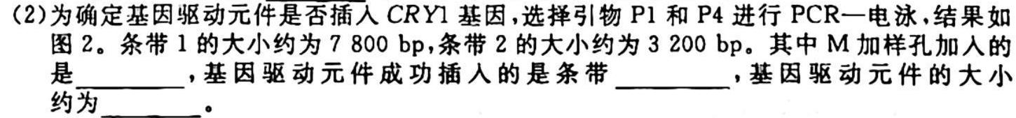 光明区2024届高三年级调研考试（10月）生物