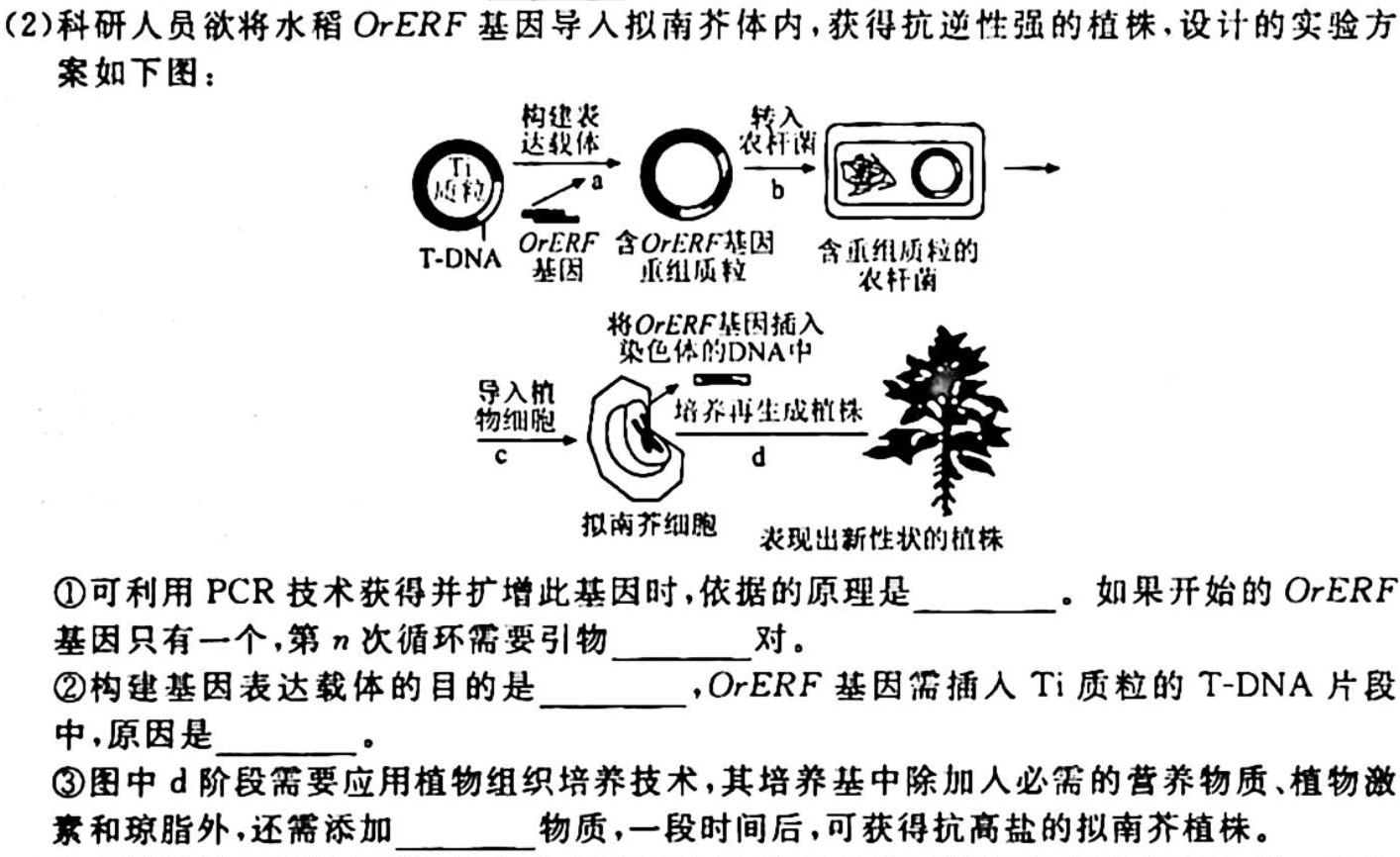 山西省2023~2024上学年九年级期中阶段评估卷(24-CZ31c)生物学试题答案