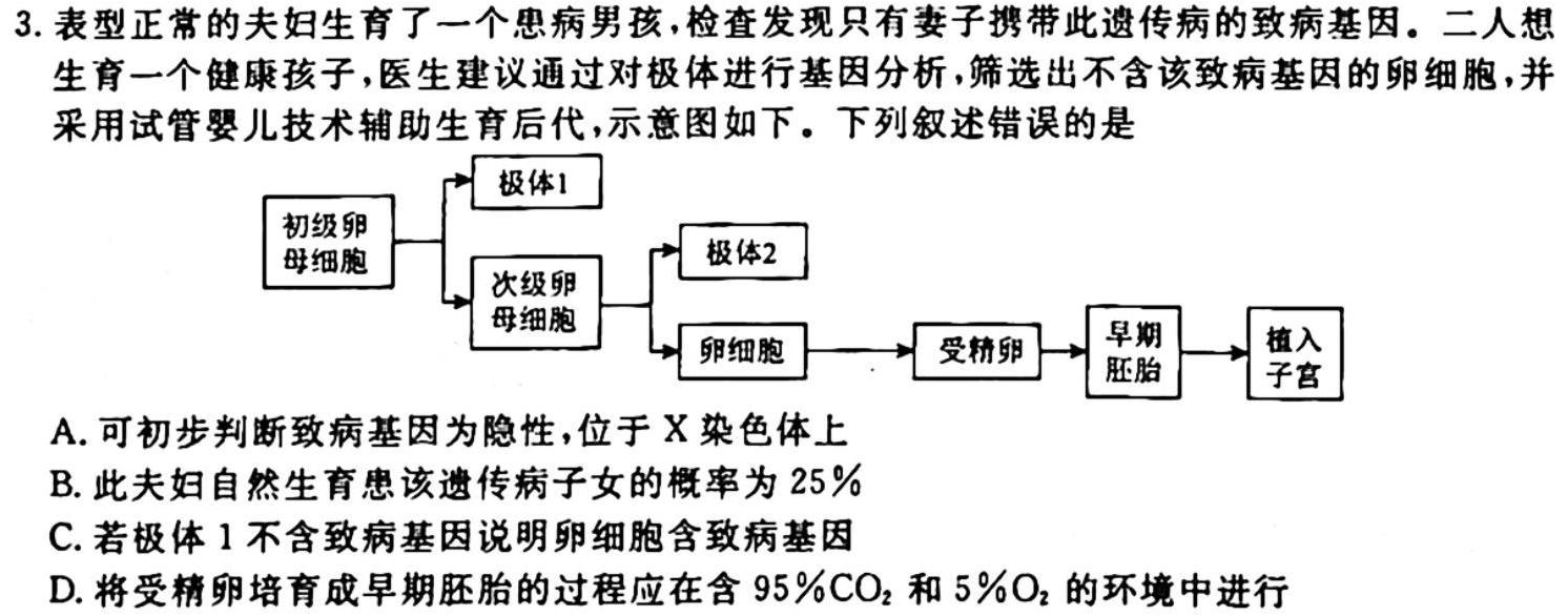 金科大联考2024届高三10月质量检测(24046C)生物学试题答案