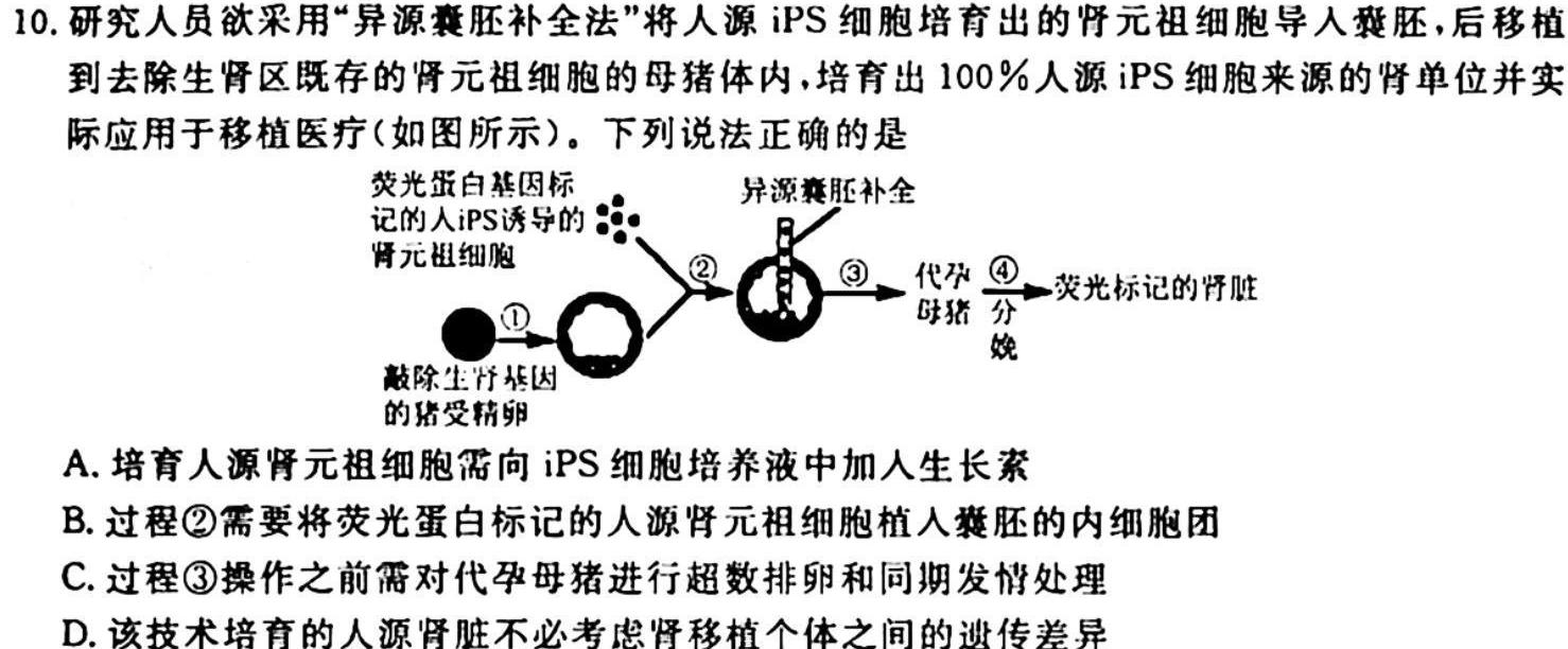 湖南天壹名校联盟三湘名校教育联盟 2024届高三10月大联考生物