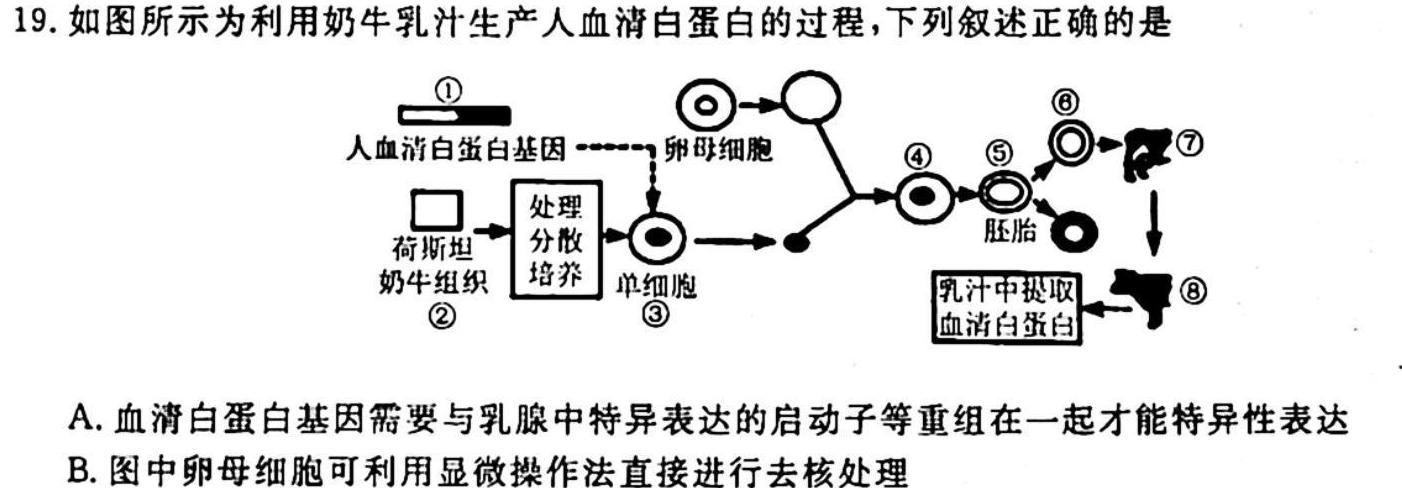 NT2023-2024学年第一学期10月高一阶段测试卷生物学试题答案