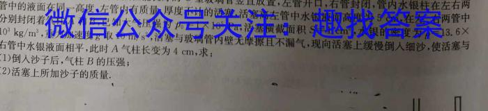 重庆市名校联盟2023-2024学年度高三第一期期中联合考试(高2024届)q物理