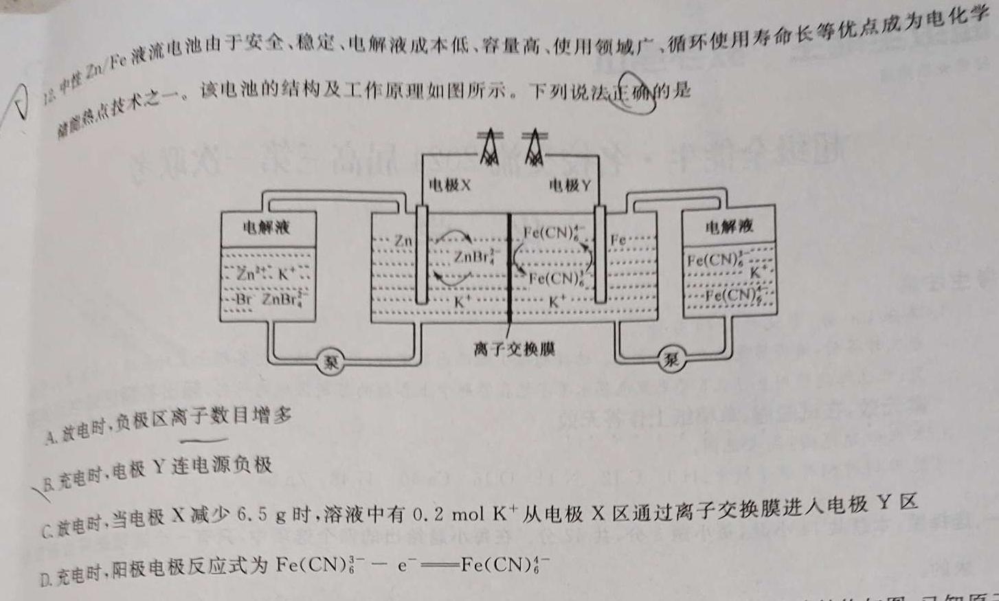 1湖南省湘东2024届11月高三联考化学试卷答案