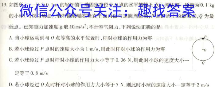 衡水金卷先享题分科综合卷2024年普通高等学校招生全国统一考试模拟试题(一)q物理