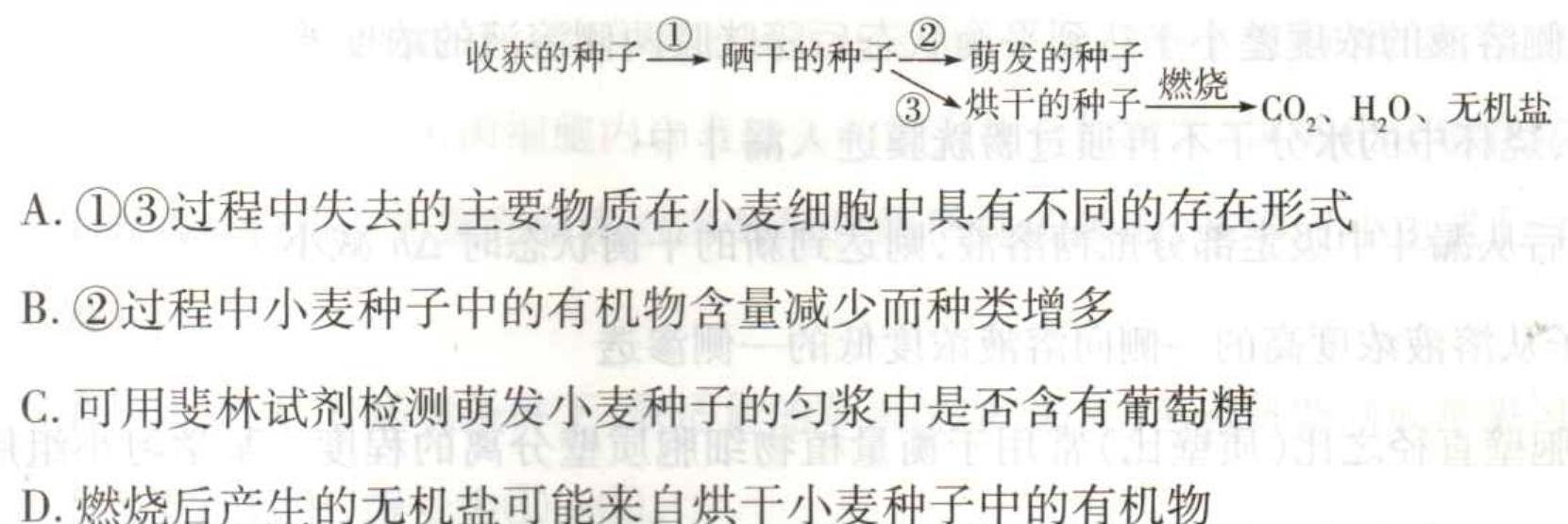 安徽省2023-2024学年度第一学期八年级期中考试生物学试题答案