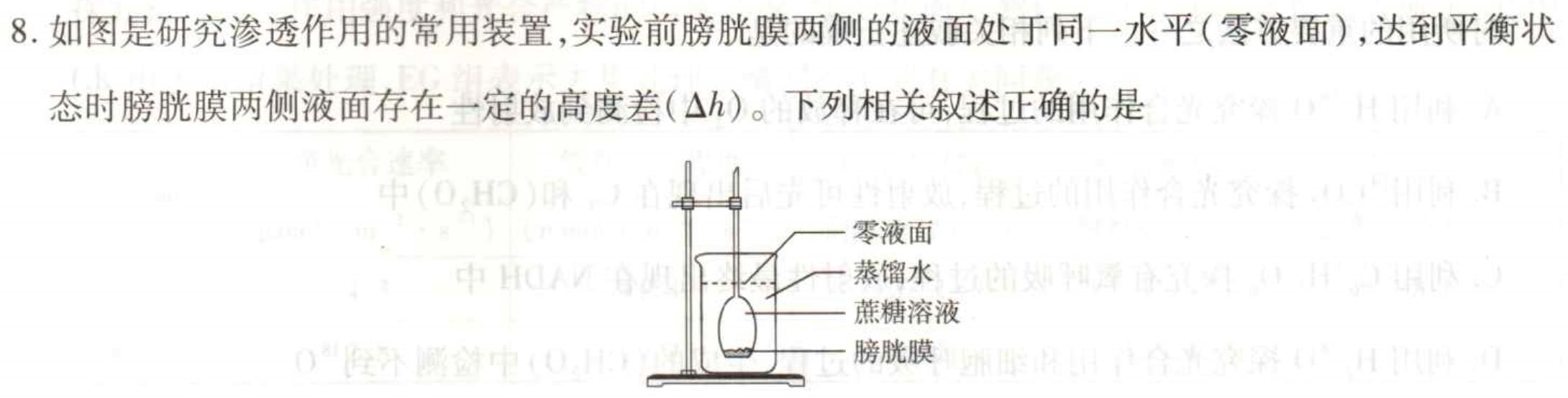 吉林省"通化优质高中联盟”2023~2024学年度高一上学期期中考试(24-103A)生物学试题答案