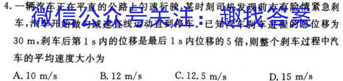 金科大联考·河北省2024届高三10月质量检测l物理