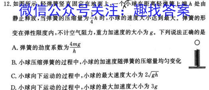 广西省2023-2024学年柳州高中/南宁二中高三(九月)联考q物理