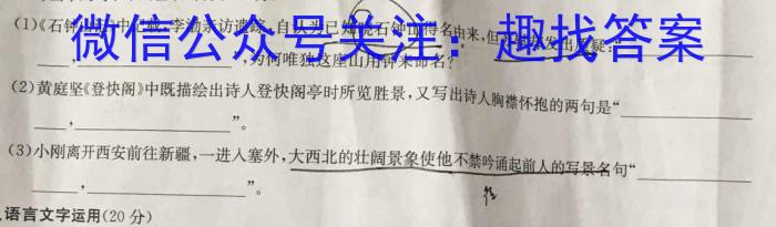 安徽省2024届高三第一次素质测试（10月）语文