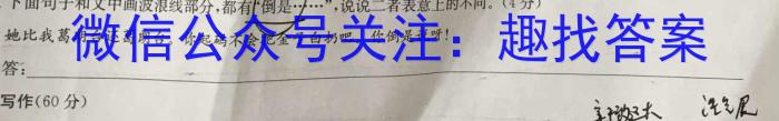 河南省2023-2024学年南阳地区高三年级期中热身模拟考考试卷(24-158C)/语文